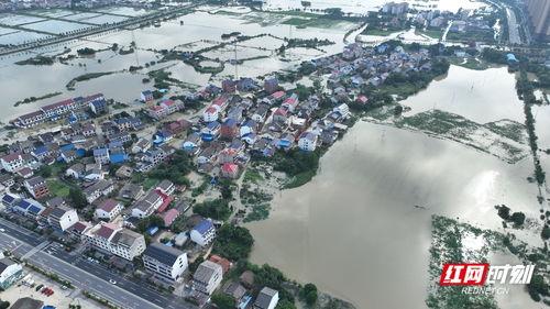汨罗最新爆料事件新闻,事件真相浮出水面